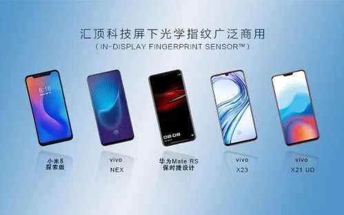 汇顶科技收购德国芯片设计公司DCT，深化应用软件服务布局